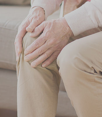 줄기세포센터 이미지