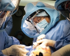 인공관절 보험물의 구성 이미지